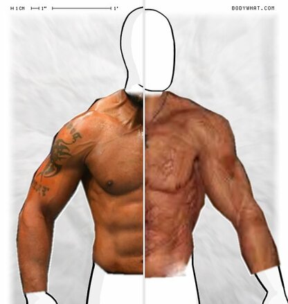 Torso Comparison