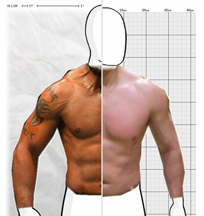 Torso Comparison