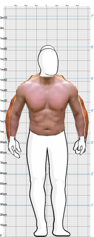 Full Size Comparison
