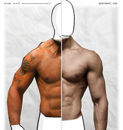 Torso Comparison