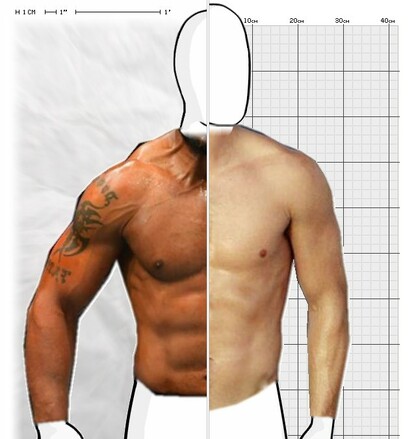 Torso Comparison