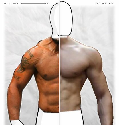 Torso Comparison