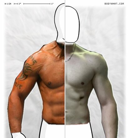 Torso Comparison