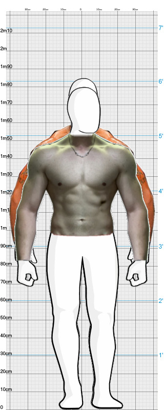 Full Size Comparison