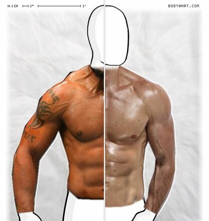 Torso Comparison