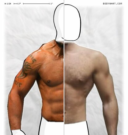 Torso Comparison