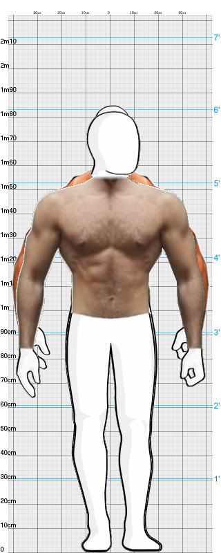 Full Size Comparison