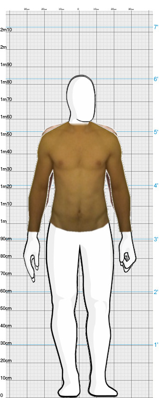 Full Size Comparison