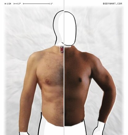 Torso Comparison