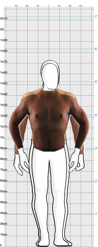 Full Size Comparison