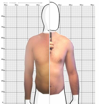 Torso Comparison