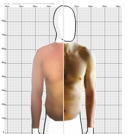 Torso Comparison