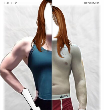 Torso Comparison