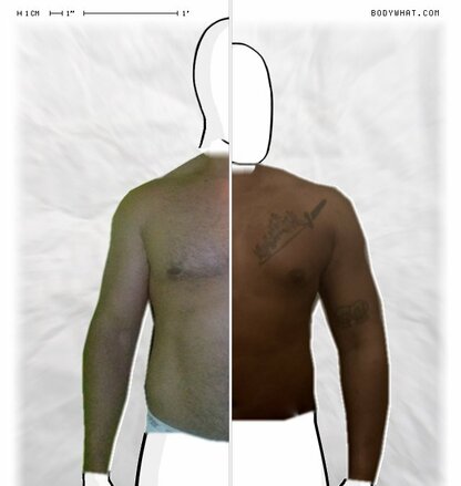 Torso Comparison