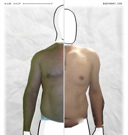 Torso Comparison