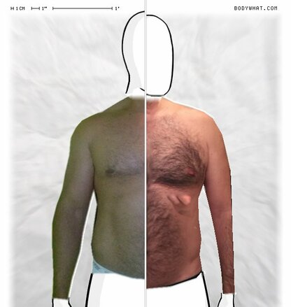 Torso Comparison