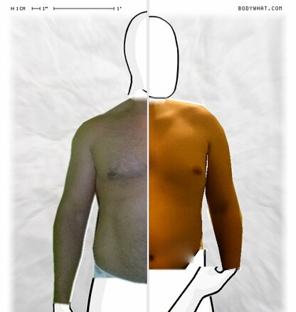 Torso Comparison