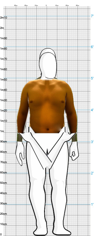 Full Size Comparison