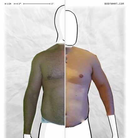 Torso Comparison