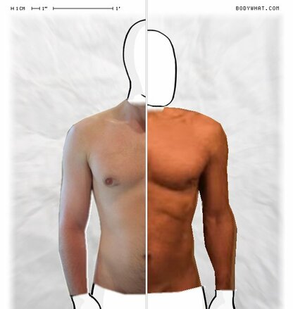 Torso Comparison