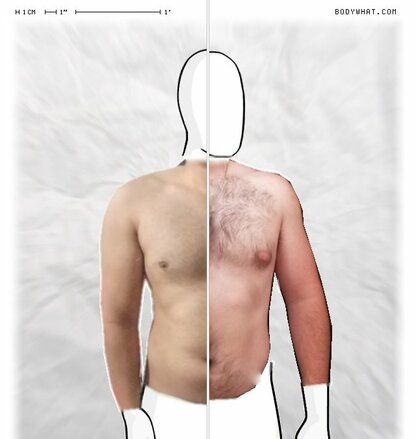 Torso Comparison