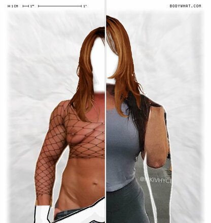 Torso Comparison