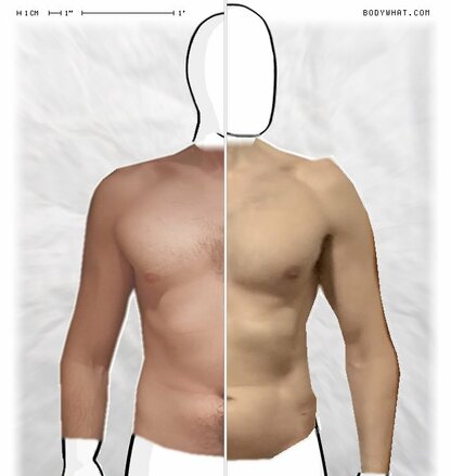 Torso Comparison