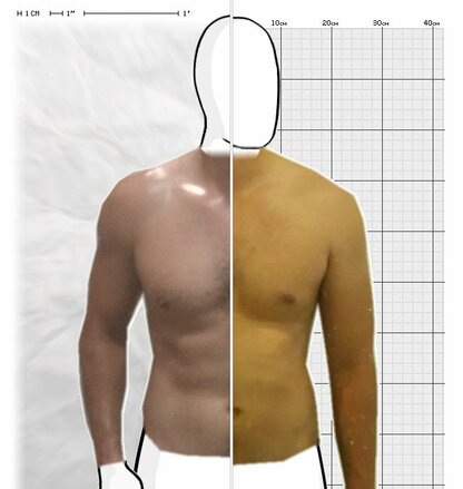 Torso Comparison