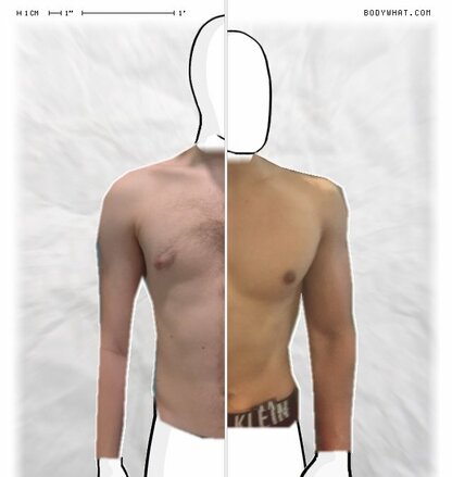 Torso Comparison