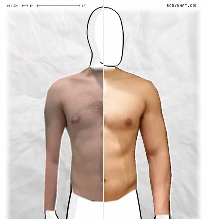 Torso Comparison