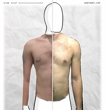 Torso Comparison