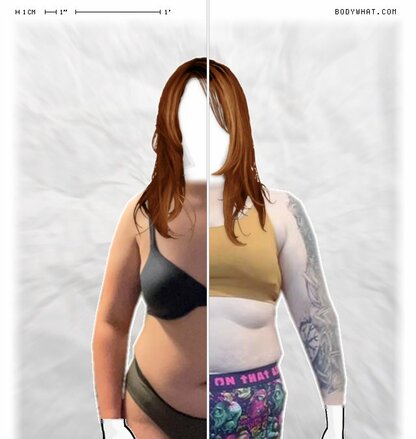 Torso Comparison