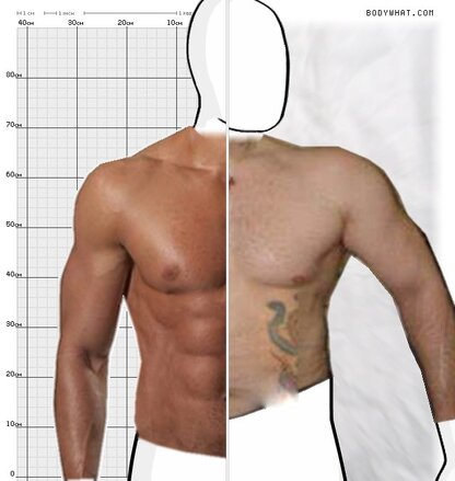 Torso Comparison