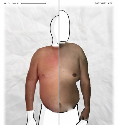 Torso Comparison