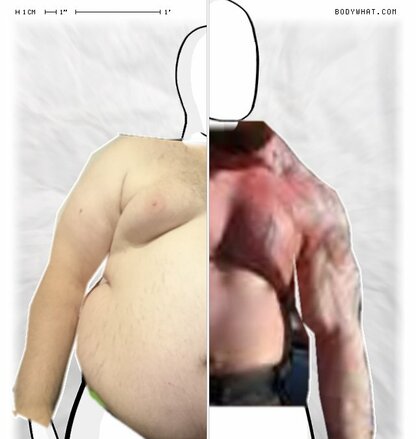 Torso Comparison