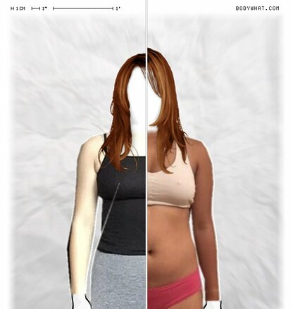 Torso Comparison