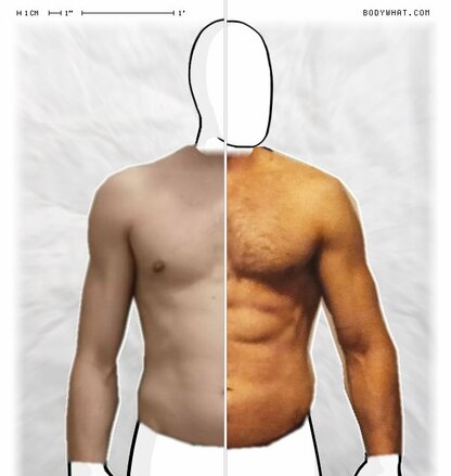 Torso Comparison