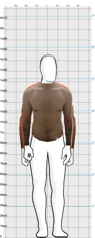 Full Size Comparison