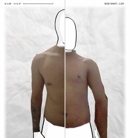 Torso Comparison