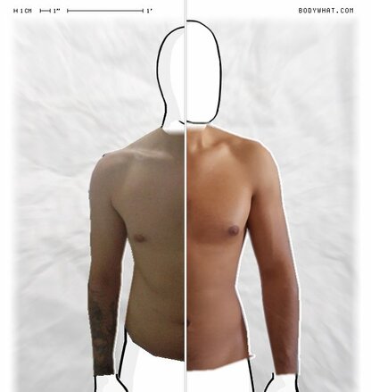 Torso Comparison