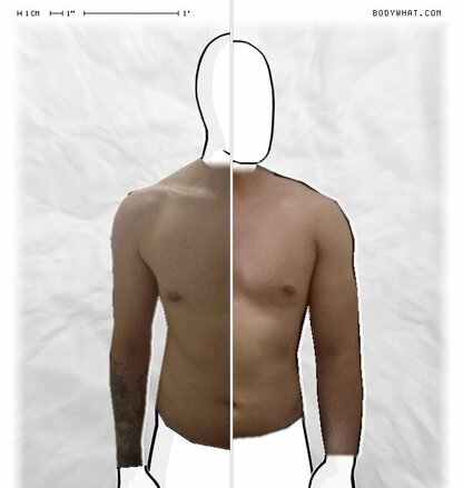 Torso Comparison