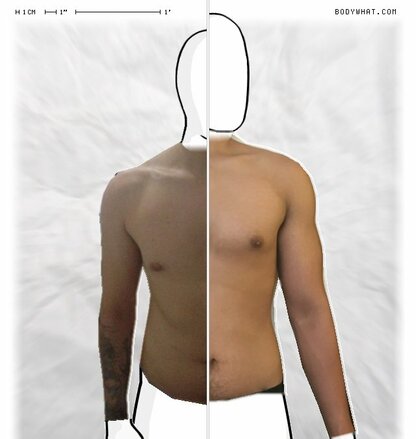 Torso Comparison