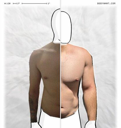 Torso Comparison