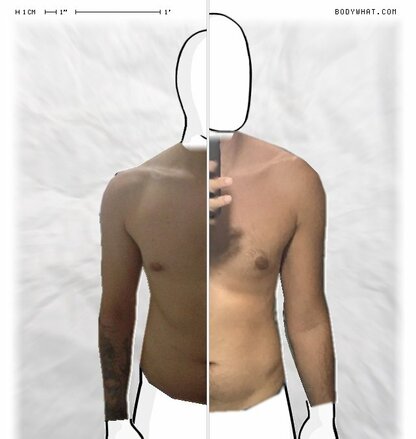 Torso Comparison