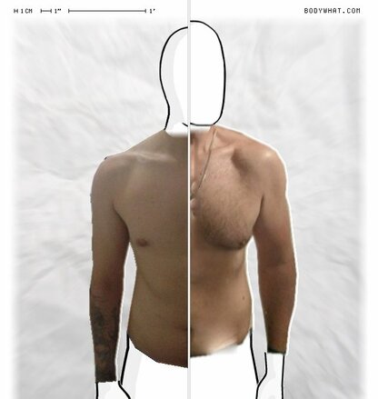 Torso Comparison