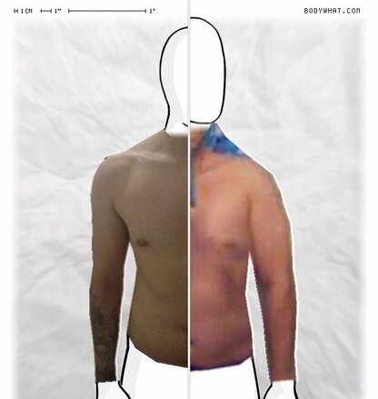 Torso Comparison