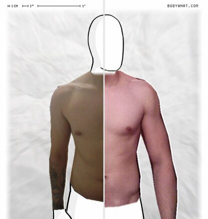 Torso Comparison