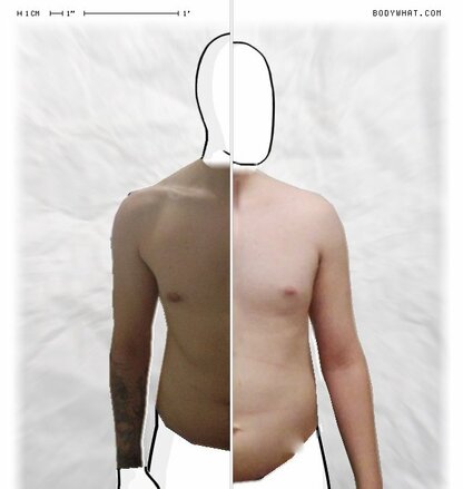 Torso Comparison