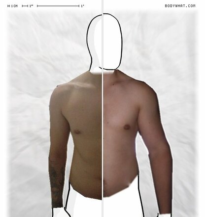 Torso Comparison