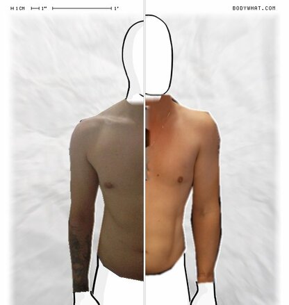 Torso Comparison